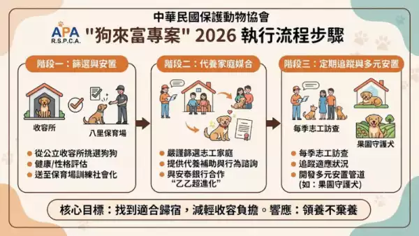 執行流程步驟