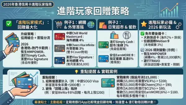 進階玩家回贈策略
