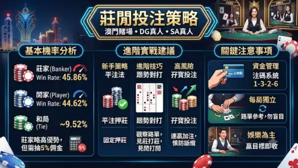 莊閒投注策略