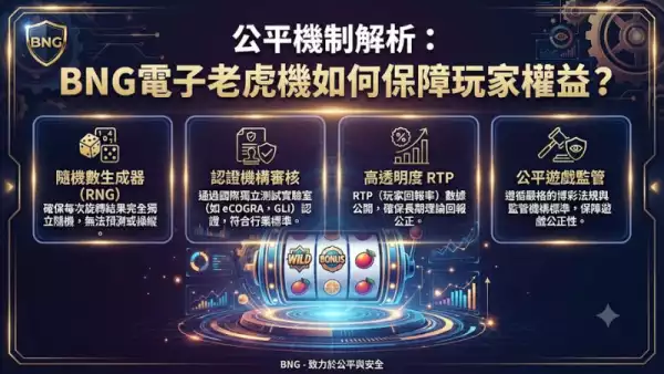 公平機制解析：BNG電子老虎機如何保障玩家權益？